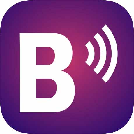 BrightSign icon